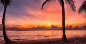 Plage République dominicaine soleil levant avec palmiers et vue mer