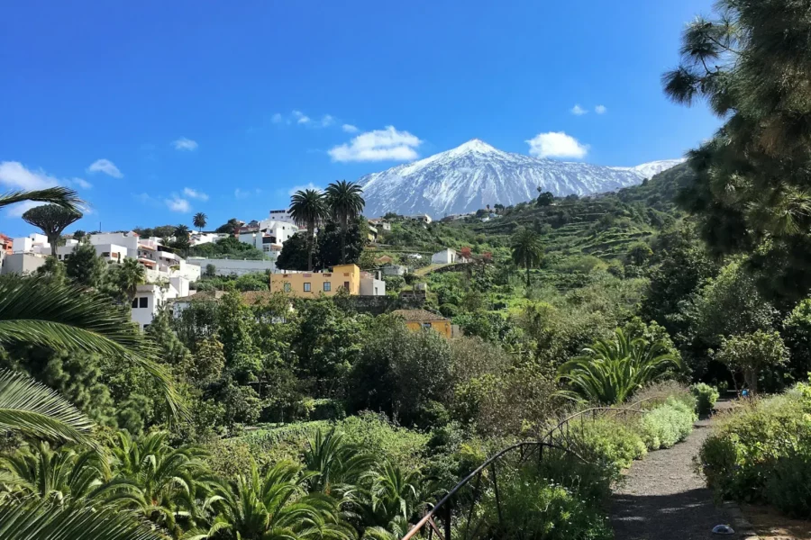 Arbre Dragonnier millénaire d'Icod de los Vinos, un symbole de Tenerife, entouré de bâtiments historiques et de rues pavées.