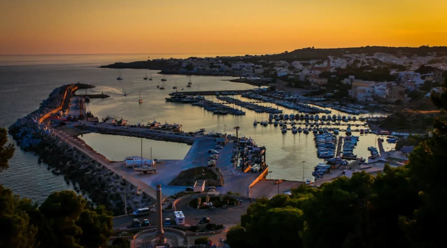 leuca