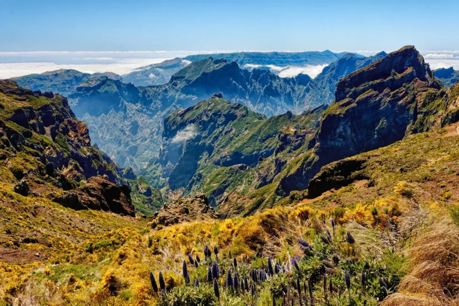 Paysage de montagne à Madère