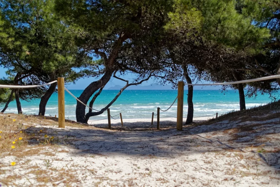Accès à la plage de sable blanc à Majorque