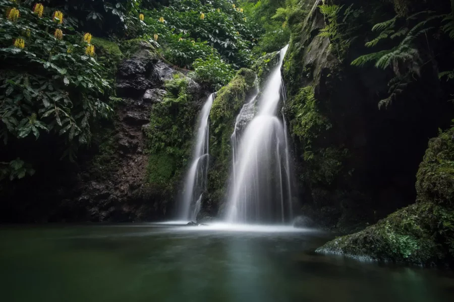 Cascade dans la forêt tropicale de São Miguel, Açores