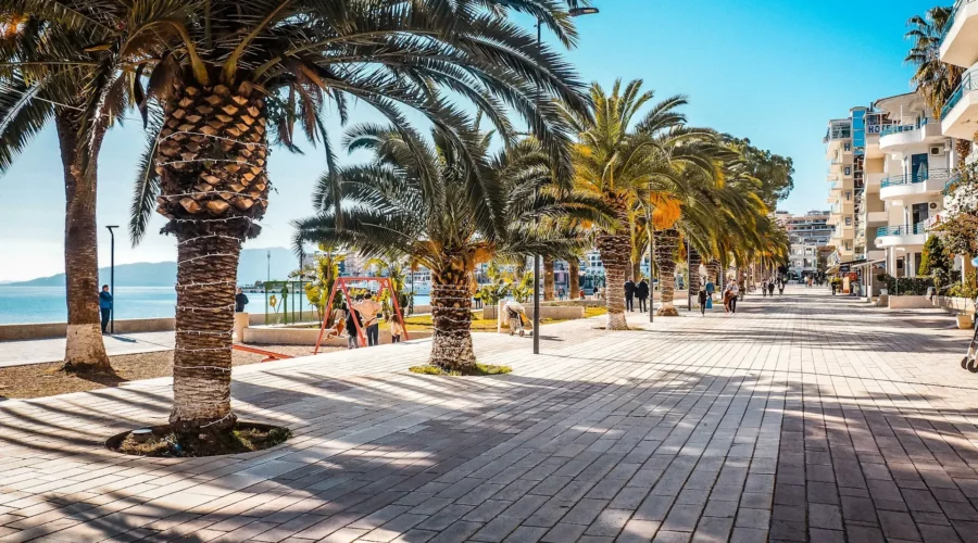 Côte de Saranda avec palmier, Albanie