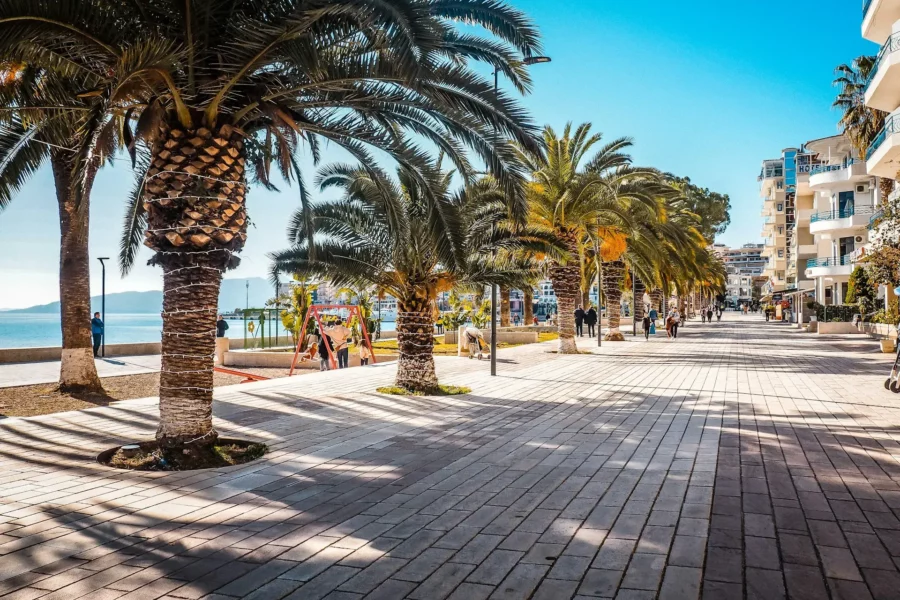 Côte de Saranda avec palmier, Albanie
