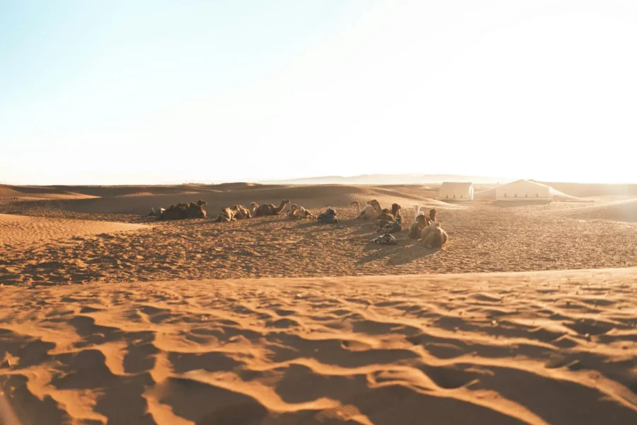 Désert de Zagora au Maroc