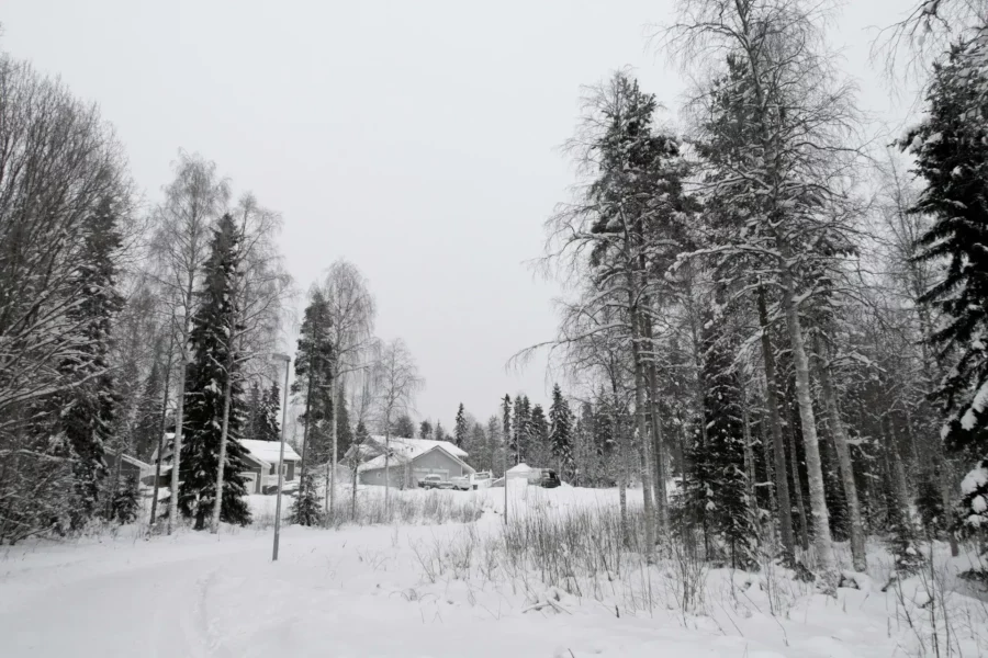 Paysage de forêt enneigée à Rovaniemi