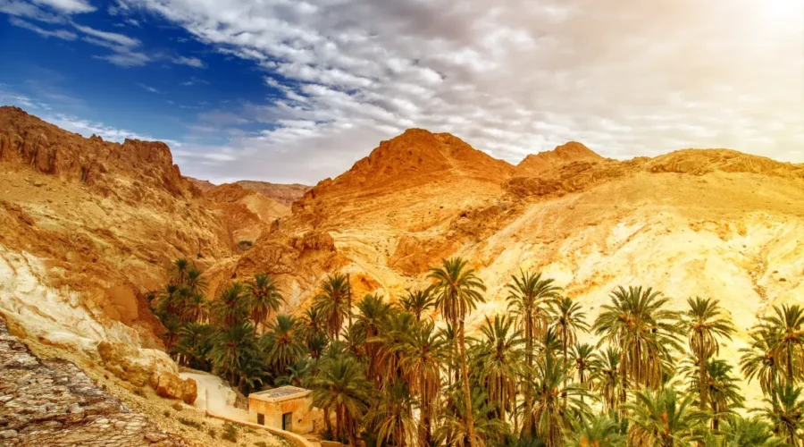Paysage de l'oasis de Chebika en Tunisie