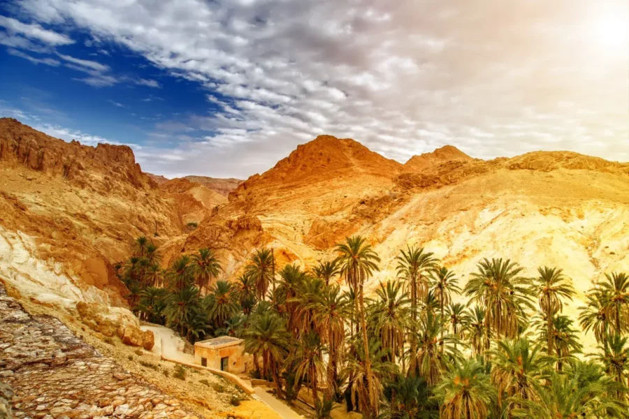 Paysage de l'oasis de Chebika en Tunisie