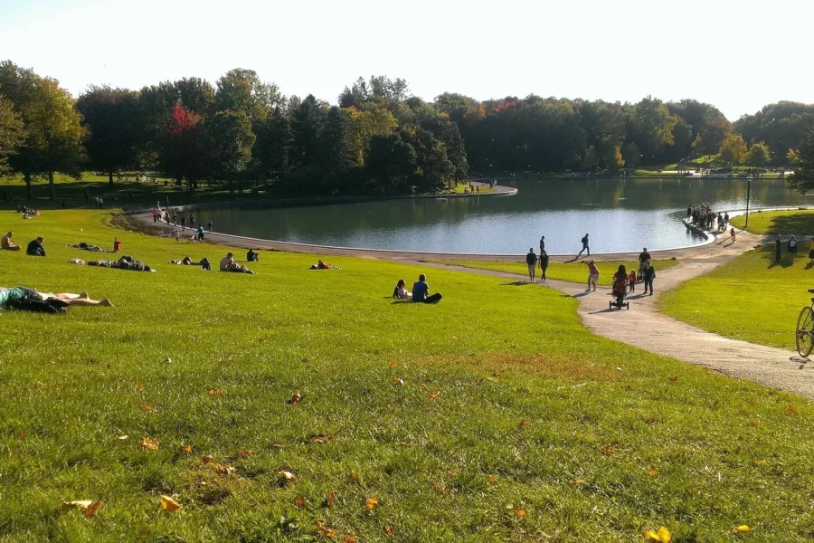 Détente au parc Mont-Royal à Montréal