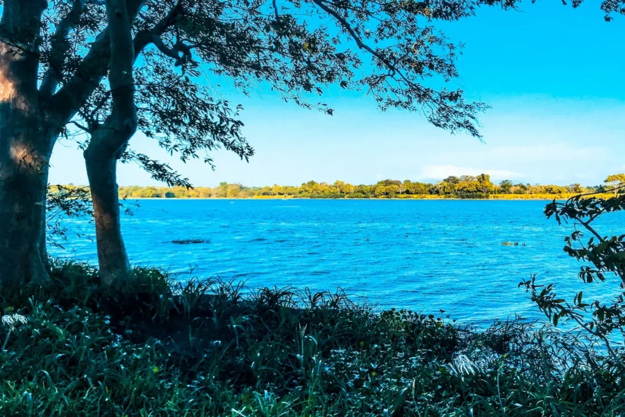 Lac à Habarana, Sri Lanka