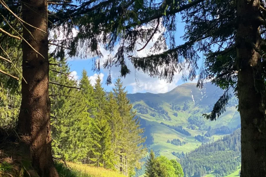 Sentier de randonnée dans le Tyrol, Autriche