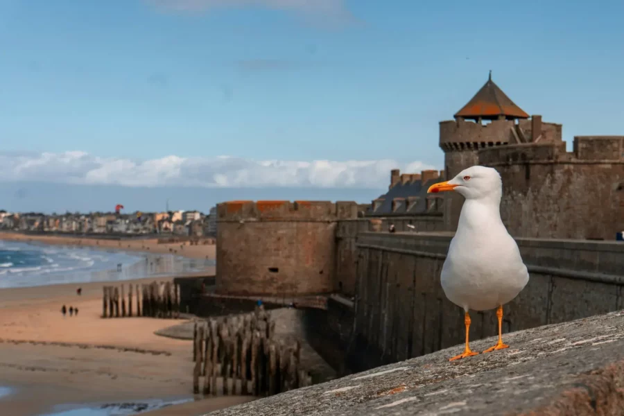 Tour des remparts de Saint-Malo, France