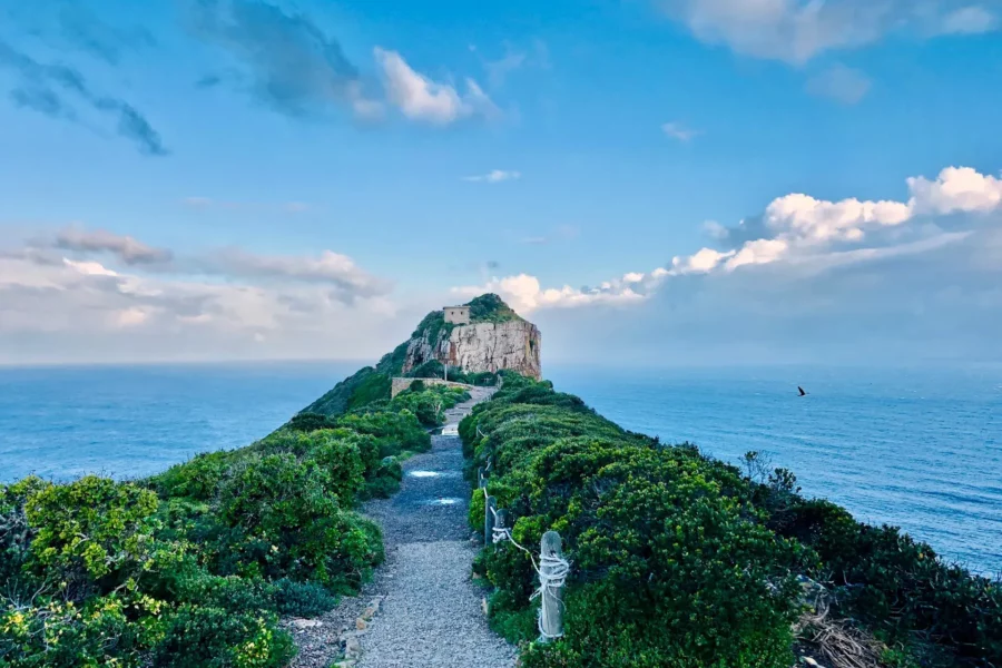 Cap de Bonne-Espérance, Afrique du Sud