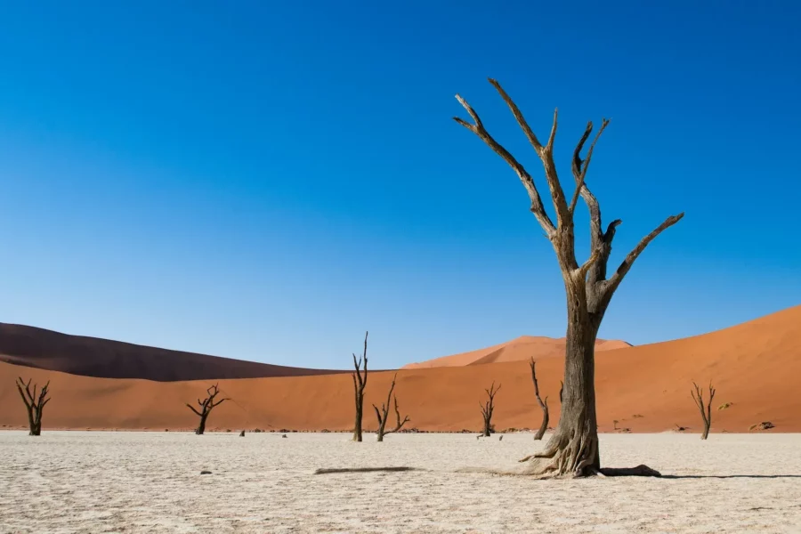 Deadvlei, parc national de Namib-Naukluft, Namibie