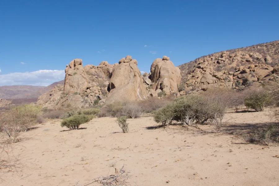 Lieu à Twyfelfontein, Namibie