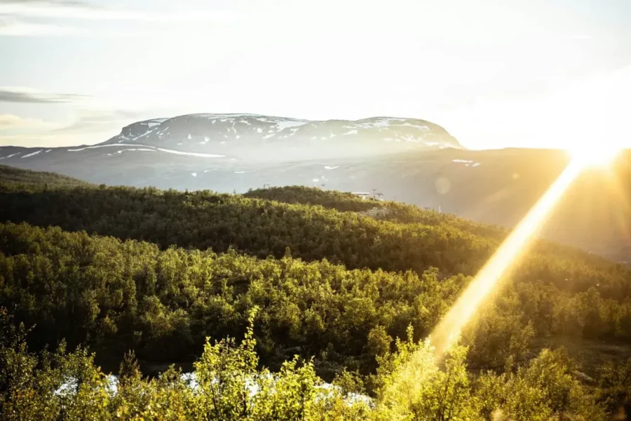 Un magnifique paysage de verdure à Geilo, Norvège.
