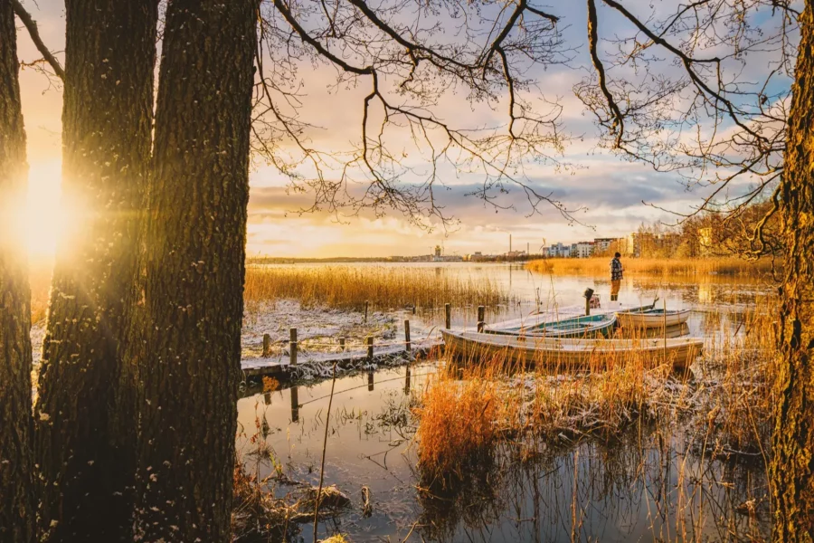 Nature et pont de bois à Helsinki, Finlande