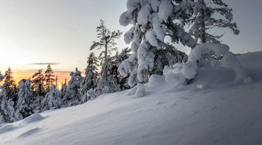 Paysage Enneigé de Levi, Finlande