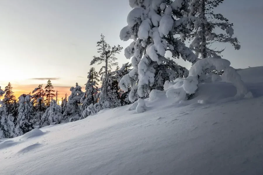 Paysage Enneigé de Levi, Finlande
