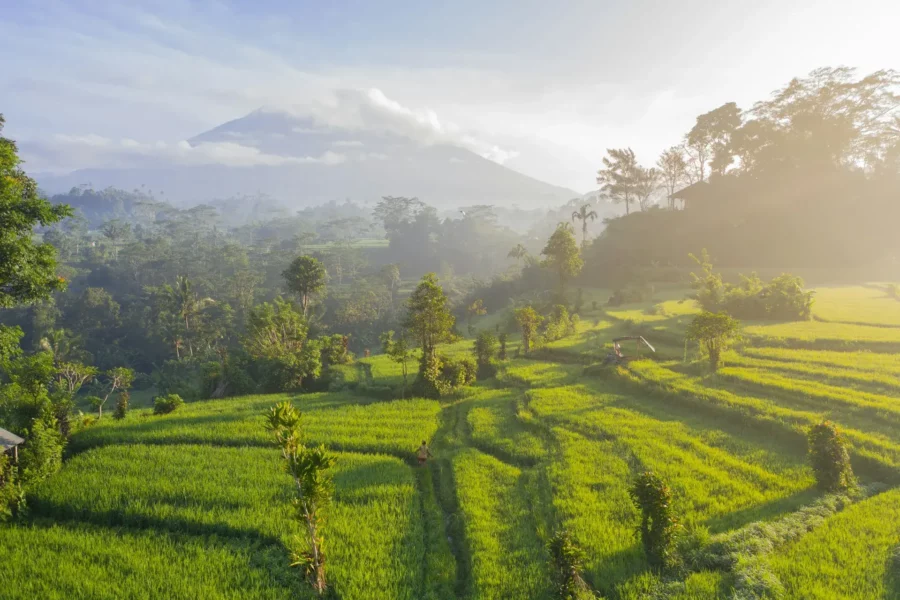 Paysage du Mont Agung à Sidemen, Bali