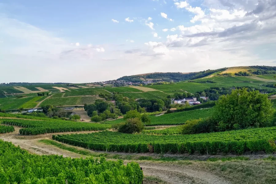 Paysage de vallons à Sancerre, France