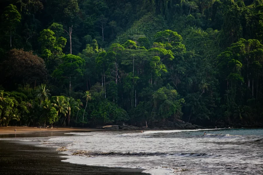 Plage de Bahia Drake, Costa Rica
