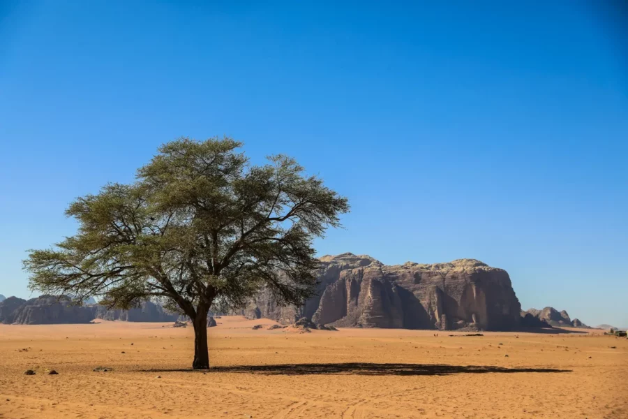 Réserve de Wadi Rum, Jordanie