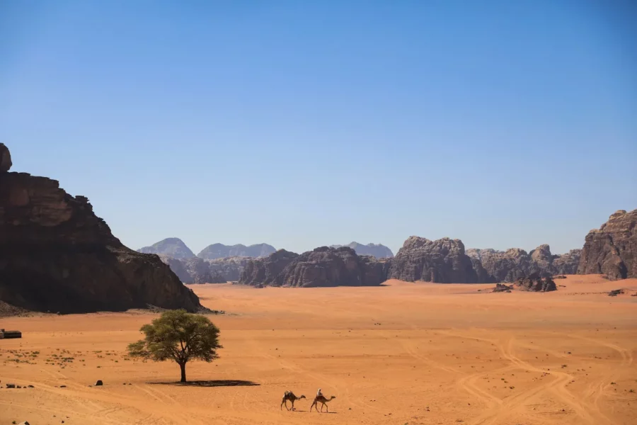 Vaste Plaine de Wadi Rum, Jordanie