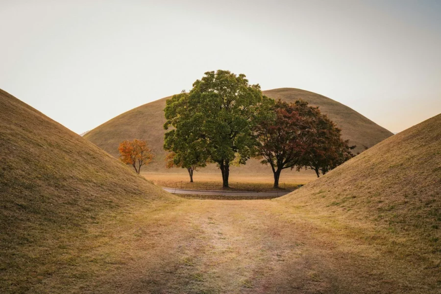 Collines funéraires verdoyantes dans le parc des tumulis royaux, Gyeongju