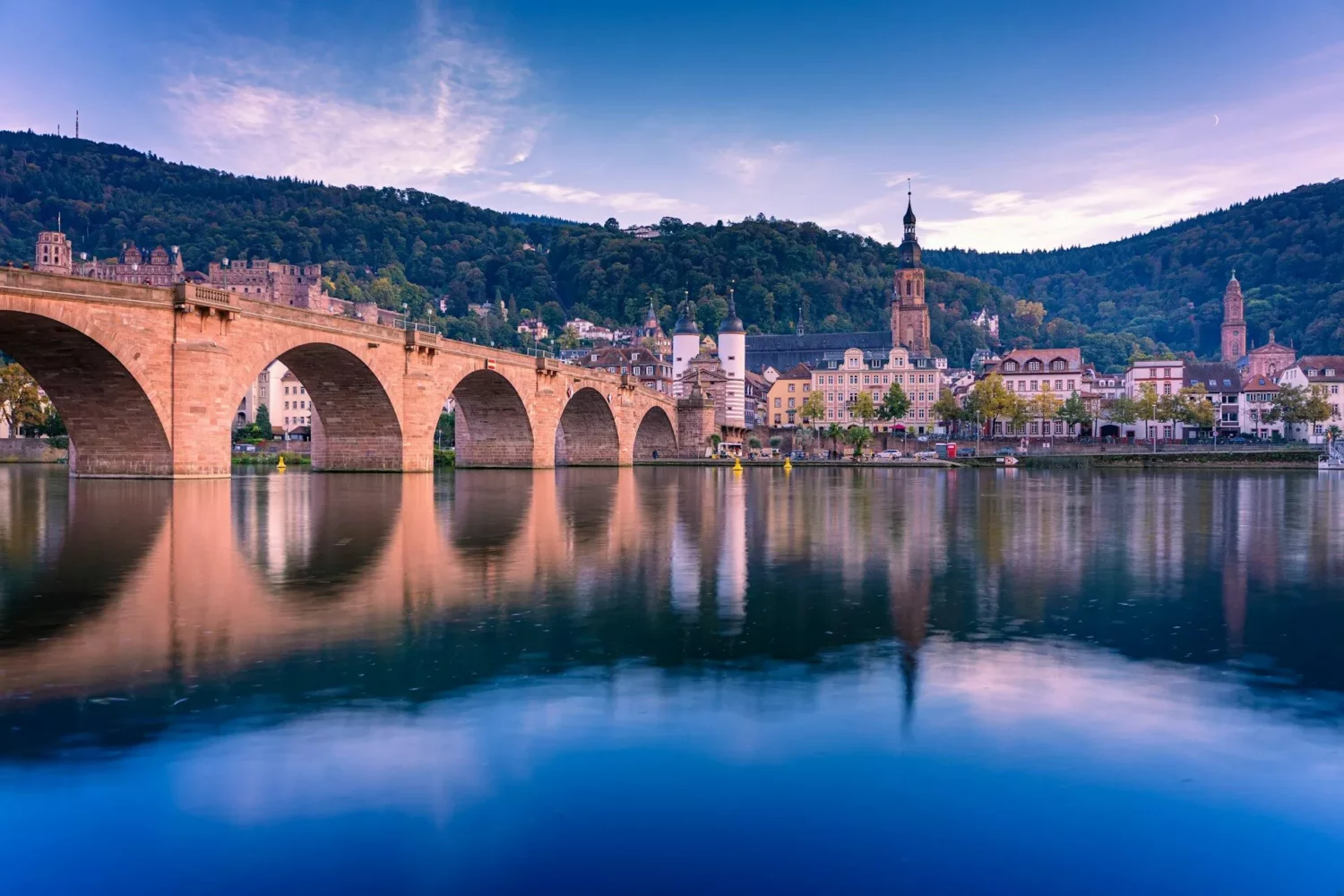 Paysage urbain de Heidelberg bordé par le fleuve Neckar