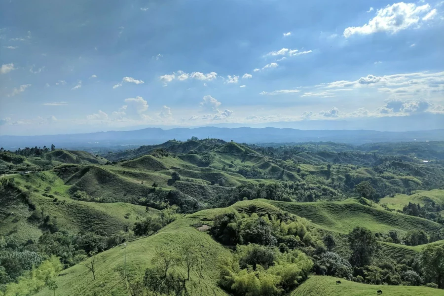 Collines et végétation typiques de la région de Filandia