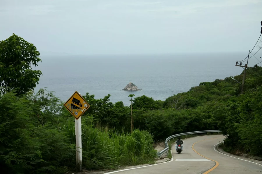 Route bordée de palmiers et collines verdoyantes près de Surat Thani