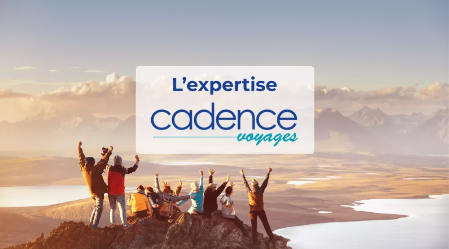 expertise cv